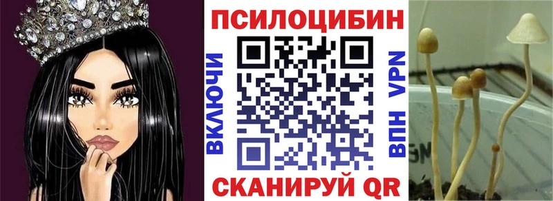 Галлюциногенные грибы Cubensis  магазин продажи наркотиков  Богучар 
