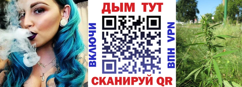 Конопля SATIVA & INDICA  Богучар 